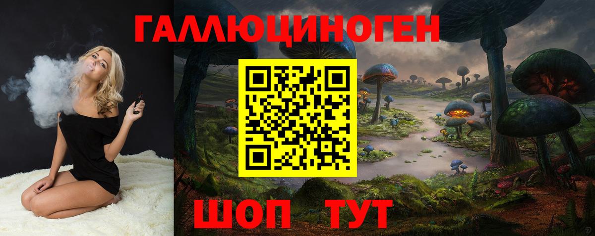 Галлюциногенные грибы Psilocybine cubensis Конаково