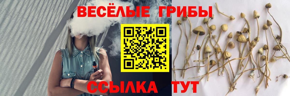 Конаково  Псилоцибиновые грибы ЛСД  Галлюциногенные грибы MAGIC MUSHROOMS  Вход с VPN 